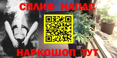 крисы Дмитров