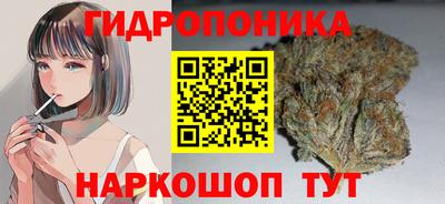 PSILOCYBIN Мариинск