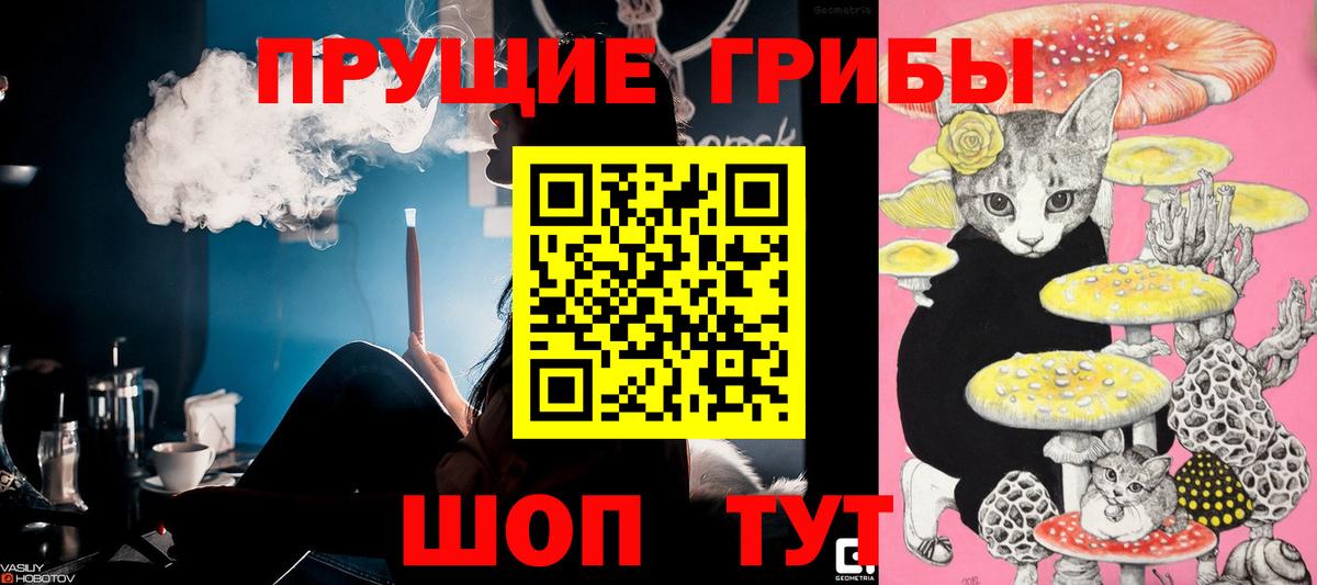 Галлюциногенные грибы мицелий  Вход с VPN  Грозный 