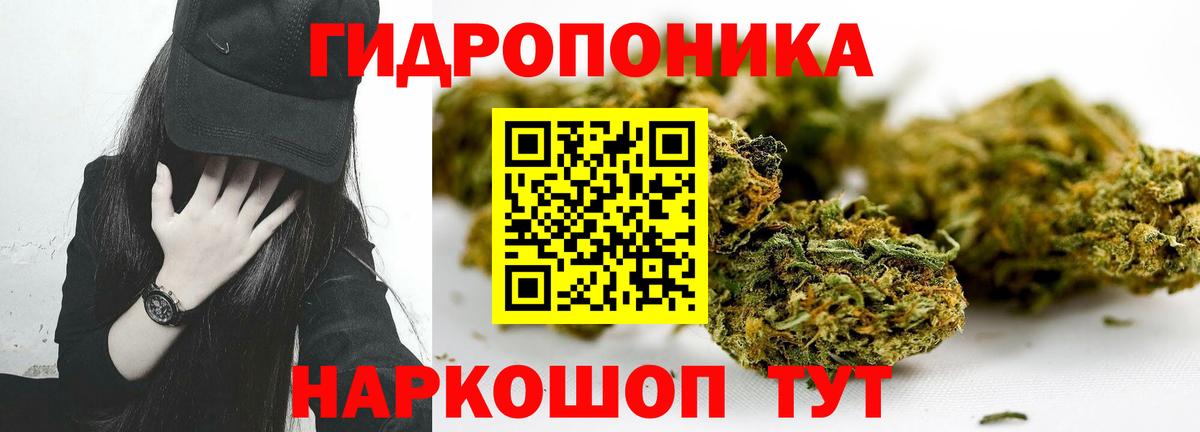 Каннабис семена  Вход с VPN  МАРИХУАНА марихуана  Грозный  Бошки Шишки OG Kush 